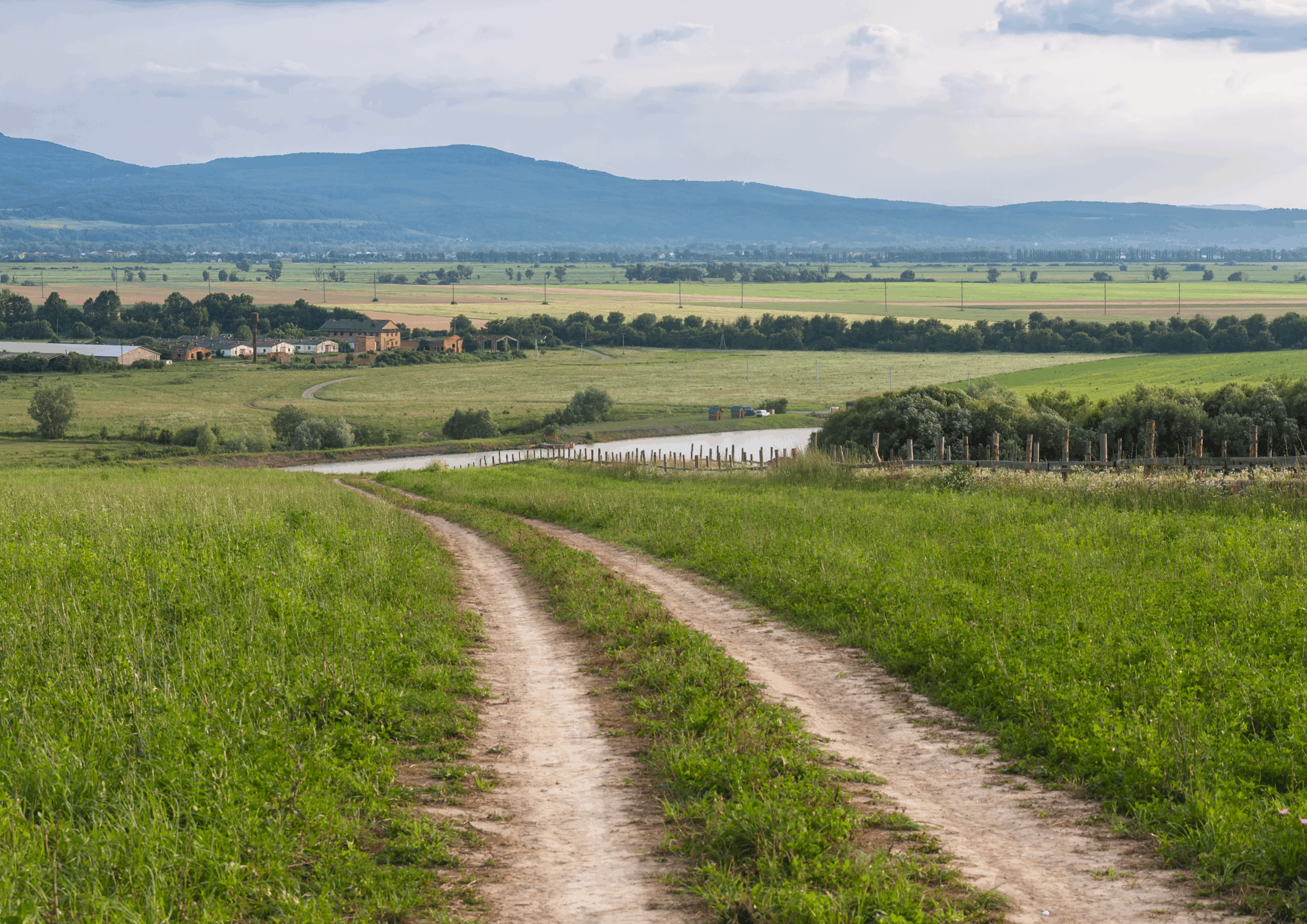 Paysage rural de la campagne genevoise, illustrant l’ancrage territorial de la Fondation Carbone Genève dans la transition écologique locale.